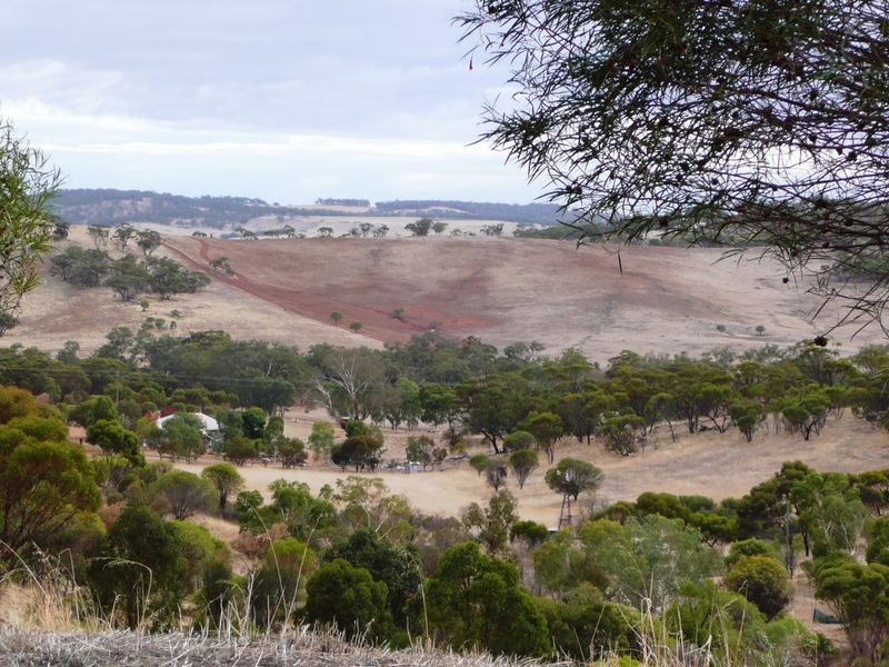 Toodyay WA 6566