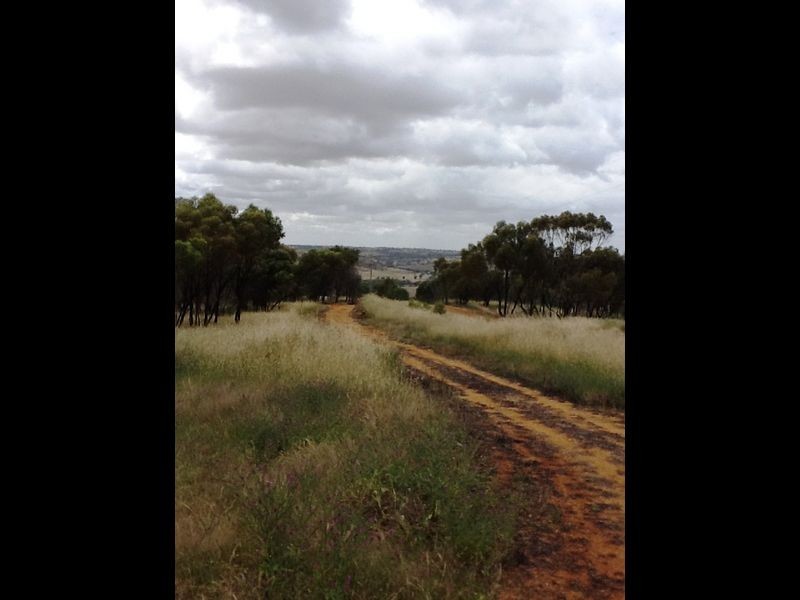 164 Timber Creek Crescent Coondle, Toodyay WA 6566