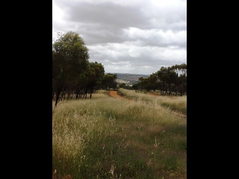 164 Timber Creek Crescent Coondle, Toodyay WA 6566