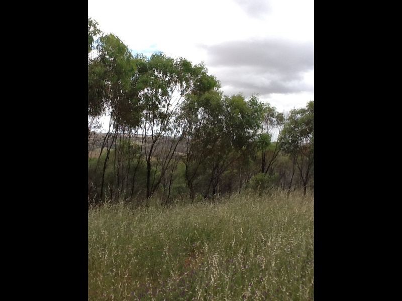 164 Timber Creek Crescent Coondle, Toodyay WA 6566