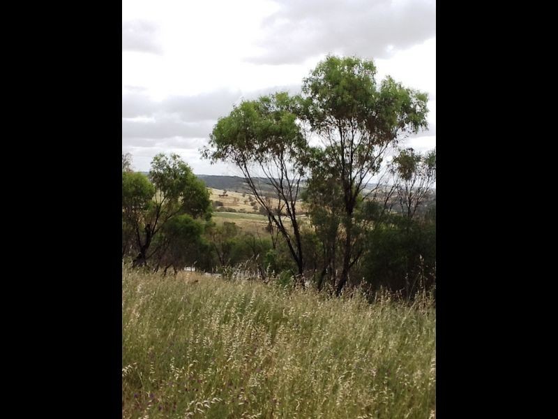 164 Timber Creek Crescent Coondle, Toodyay WA 6566