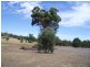 139 Caladenia Drive Coondle, Toodyay WA 6566