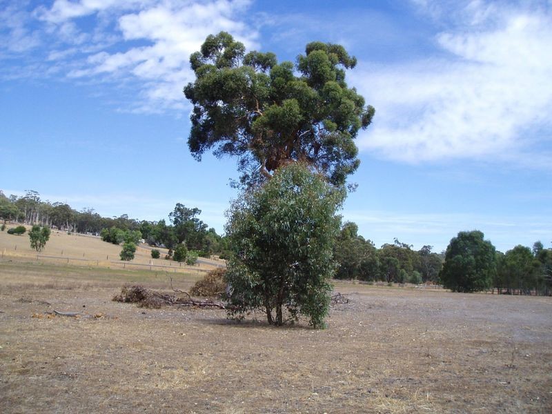 139 Caladenia Drive Coondle, Toodyay WA 6566