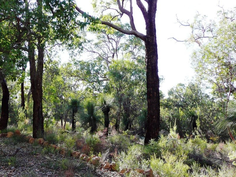 49 Malkup Brook Road Julimar, Toodyay WA 6566