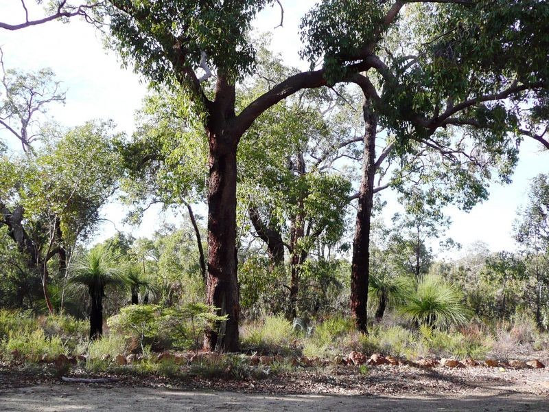 49 Malkup Brook Road Julimar, Toodyay WA 6566