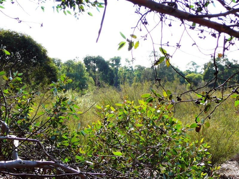 49 Malkup Brook Road Julimar, Toodyay WA 6566