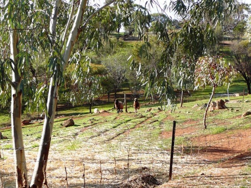 271 Coondle Drive, Toodyay WA 6566