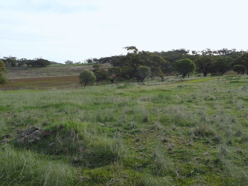 74 Pritchard Road Culham, Toodyay WA 6566