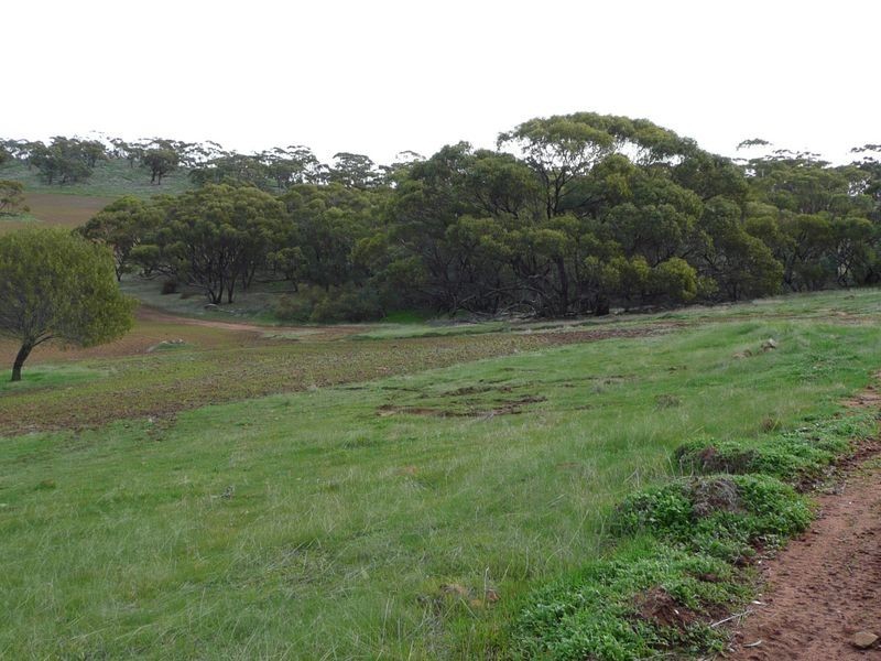 74 Pritchard Road Culham, Toodyay WA 6566