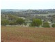 74 Pritchard Road Culham, Toodyay WA 6566