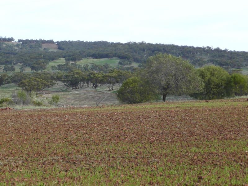 74 Pritchard Road Culham, Toodyay WA 6566