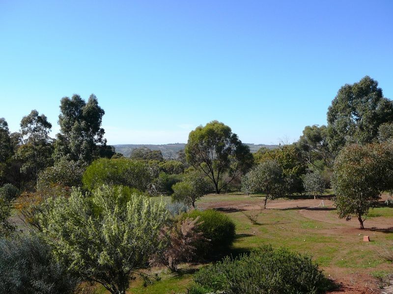 23 Timber Creek Crescent Coondle, Toodyay WA 6566