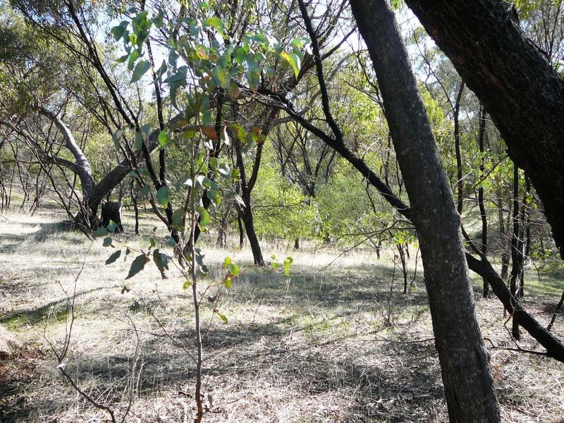 23 Timber Creek Crescent Coondle, Toodyay WA 6566