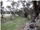 Lot 27 Lovers Lane, Toodyay WA 6566