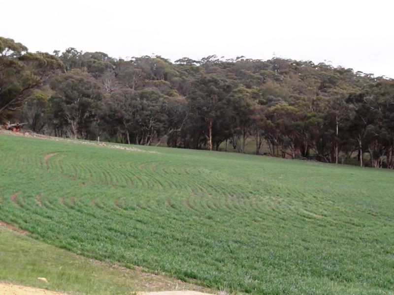 Lot 27 Lovers Lane, Toodyay WA 6566