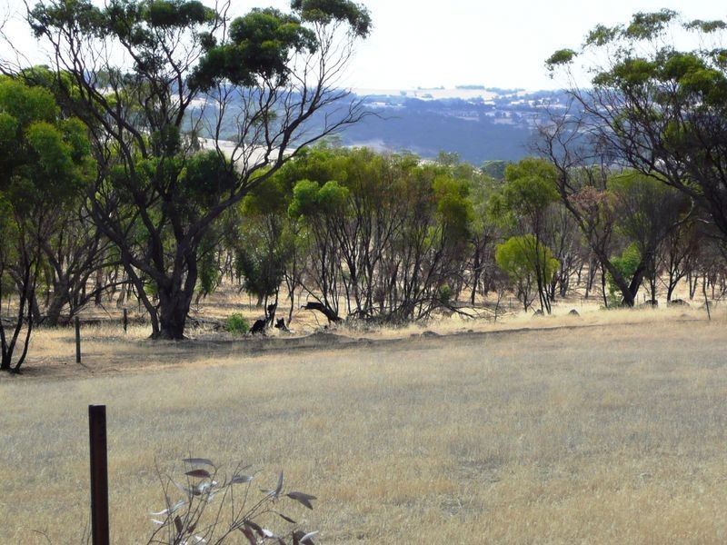 200 Folewood Road, Toodyay WA 6566