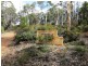 Toodyay WA 6566