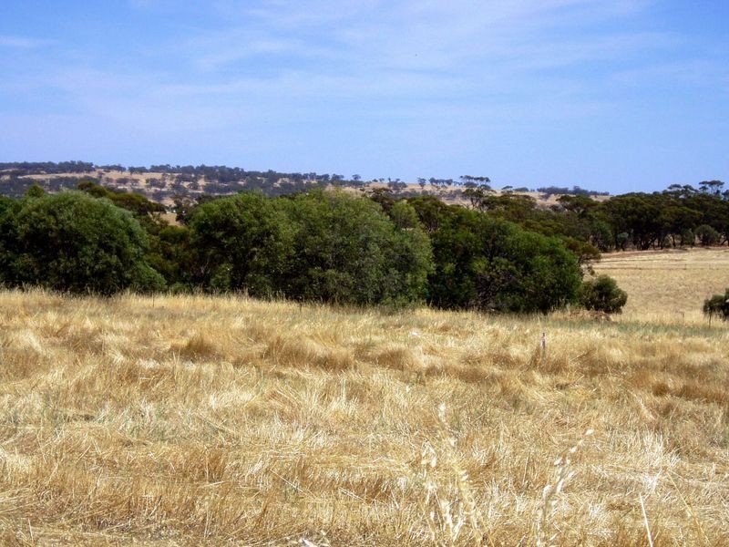 Lot 147 One Man Road Bejoording, Toodyay WA 6566