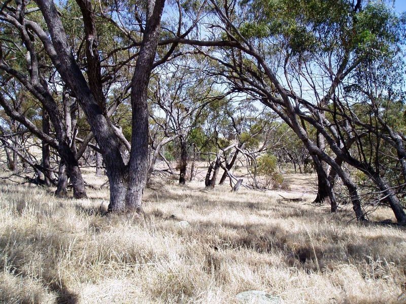 Lot 147 One Man Road Bejoording, Toodyay WA 6566