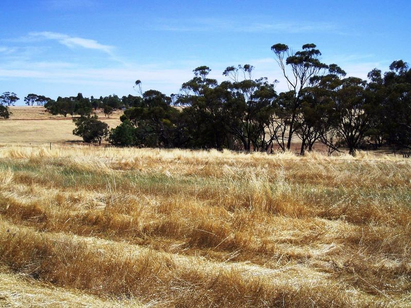 Lot 147 One Man Road Bejoording, Toodyay WA 6566