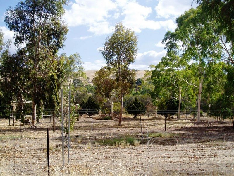 105 Toodyay West Road West Toodyay, Toodyay WA 6566