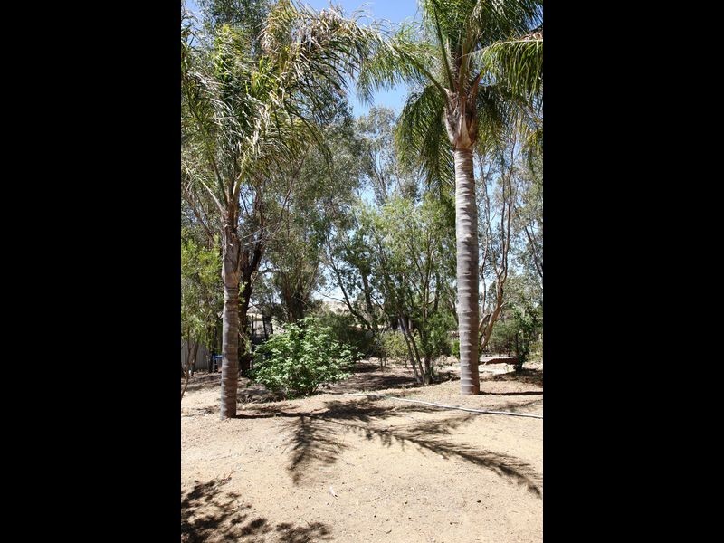 4 Fiennes Street, Toodyay WA 6566