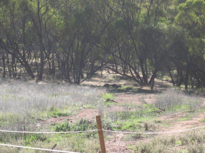 Toodyay WA 6566