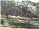 Toodyay WA 6566
