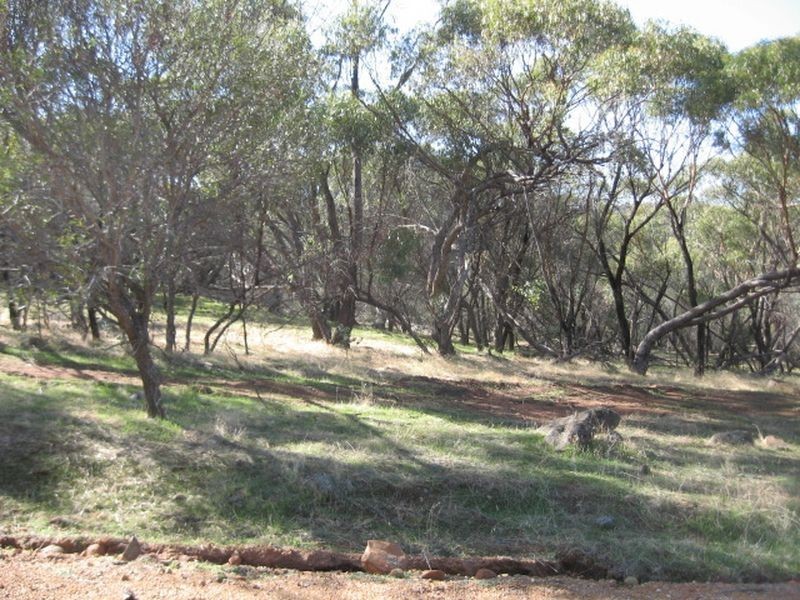 Toodyay WA 6566