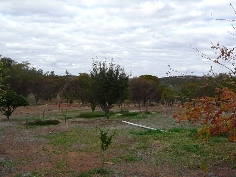 108 Fitzgerald Terrace West Toodyay, Toodyay WA 6566