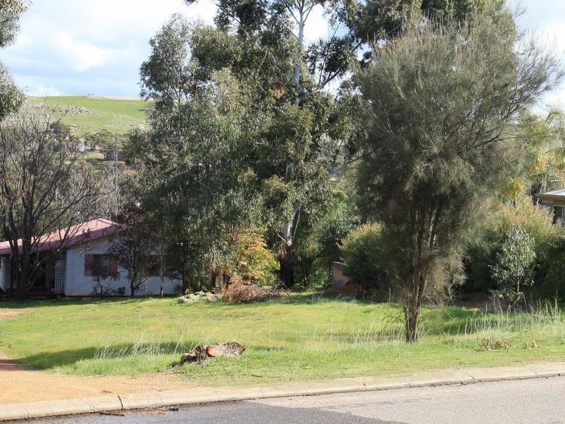 13 Harcourt Street, Toodyay WA 6566