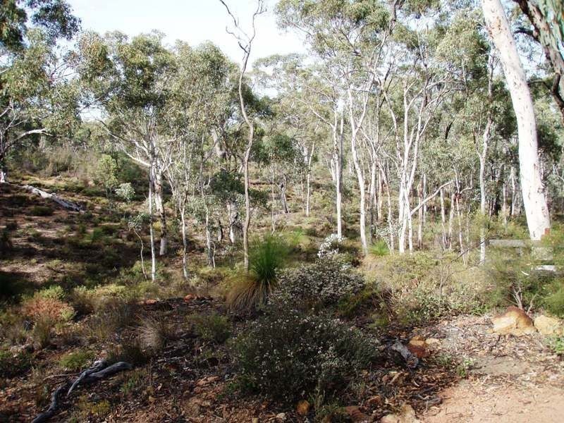 Lot 500 Salt Valley Road, Toodyay WA 6566