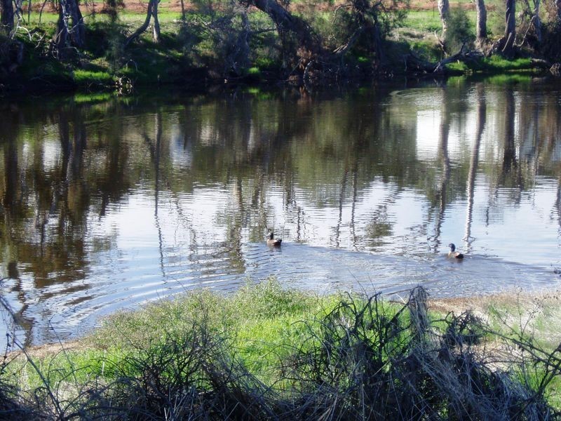 Lot 108 MacDonald Retreat Dumbarton, Toodyay WA 6566