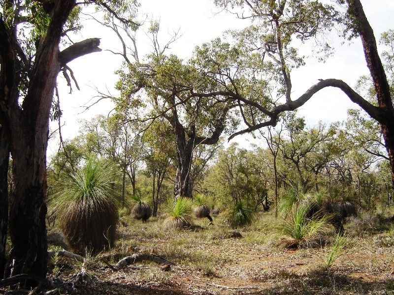 27 Powder Bark Road, Toodyay WA 6566