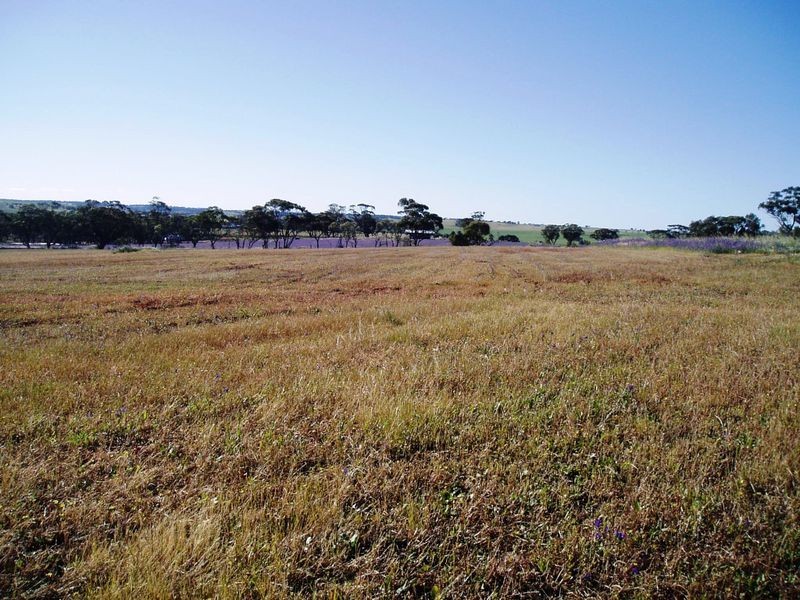 Lot 56 One Man Road Bejoording, Toodyay WA 6566