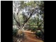 79 Whitfield Road Wicklow, Toodyay WA 6566