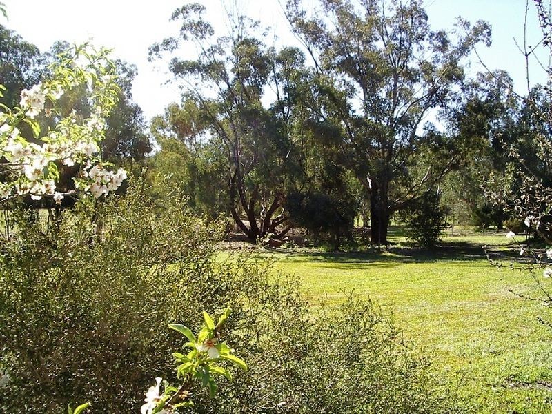 79 Whitfield Road Wicklow, Toodyay WA 6566