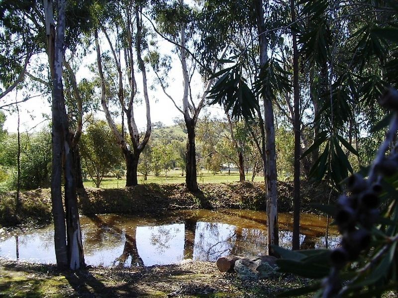 79 Whitfield Road Wicklow, Toodyay WA 6566