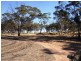 Lot 1342 Toodyay – Goomalling Road Nunile, Toodyay WA 6566