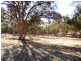 Lot 1342 Toodyay – Goomalling Road Nunile, Toodyay WA 6566