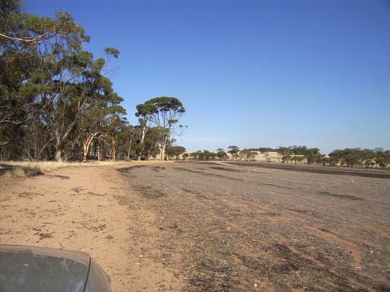 Lot 1342 Toodyay – Goomalling Road Nunile, Toodyay WA 6566