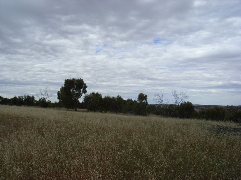 205 Timber Creek Crescent, Toodyay WA 6566