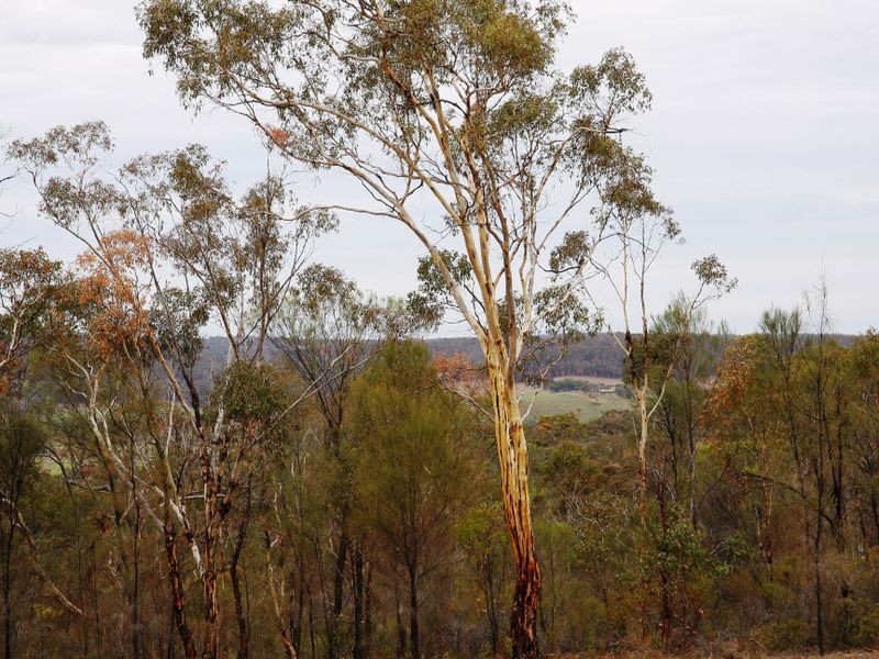 Toodyay WA 6566