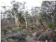 Toodyay WA 6566