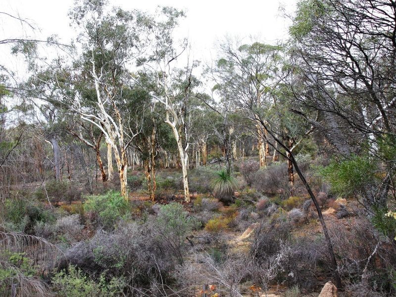 Toodyay WA 6566