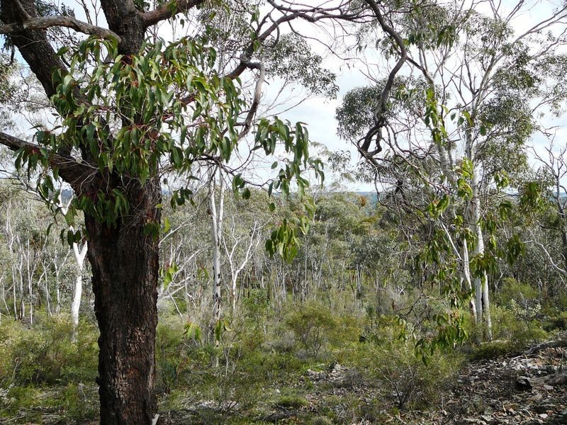 15 Sesselis Road, Toodyay WA 6566