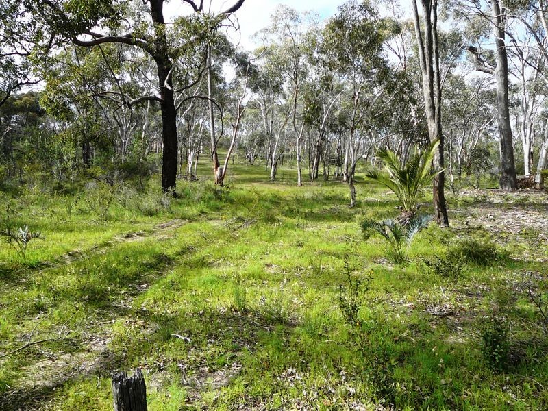 15 Sesselis Road, Toodyay WA 6566