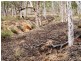 Lot 500 Salt Valley Road Hoddys Well, Toodyay WA 6566