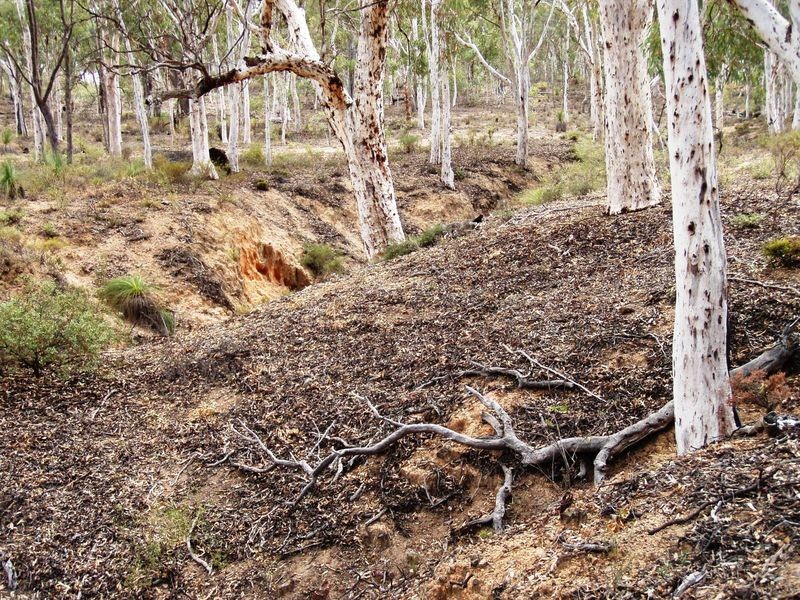 Lot 500 Salt Valley Road Hoddys Well, Toodyay WA 6566