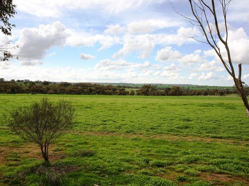 1515 Goomalling-Toodyay Road, Toodyay WA 6566